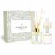 Bouquet d'ambiance parfumé box and its olive wood refill